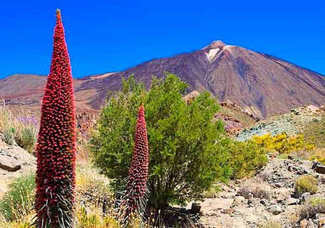 Casa Tayri De Tamaide Tenerife Sur San Miguel de Abona Esterno foto